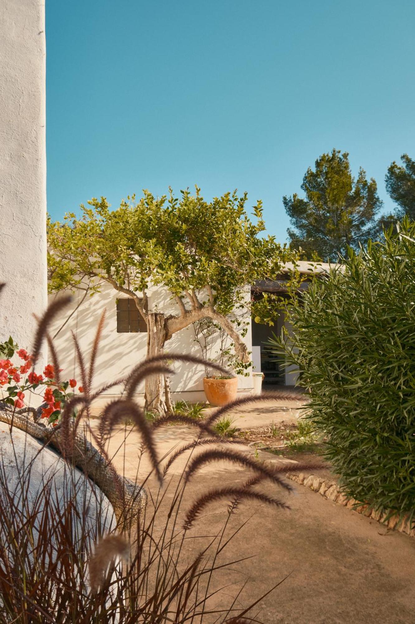 The Guardian House Hotel Santa Gertrudis  Luaran gambar